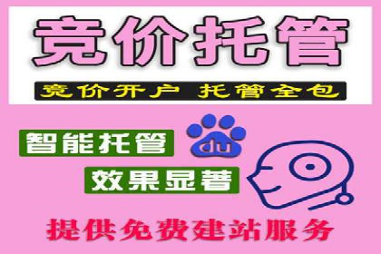 某品牌SEM广告策略揭秘——代运营公司的智慧